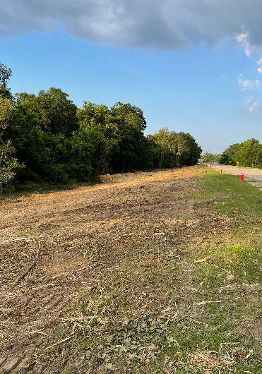 a forested clearing along a roadside